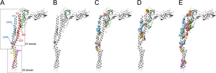 Fig 3