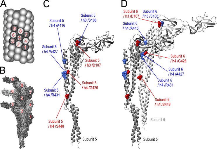 Fig 4