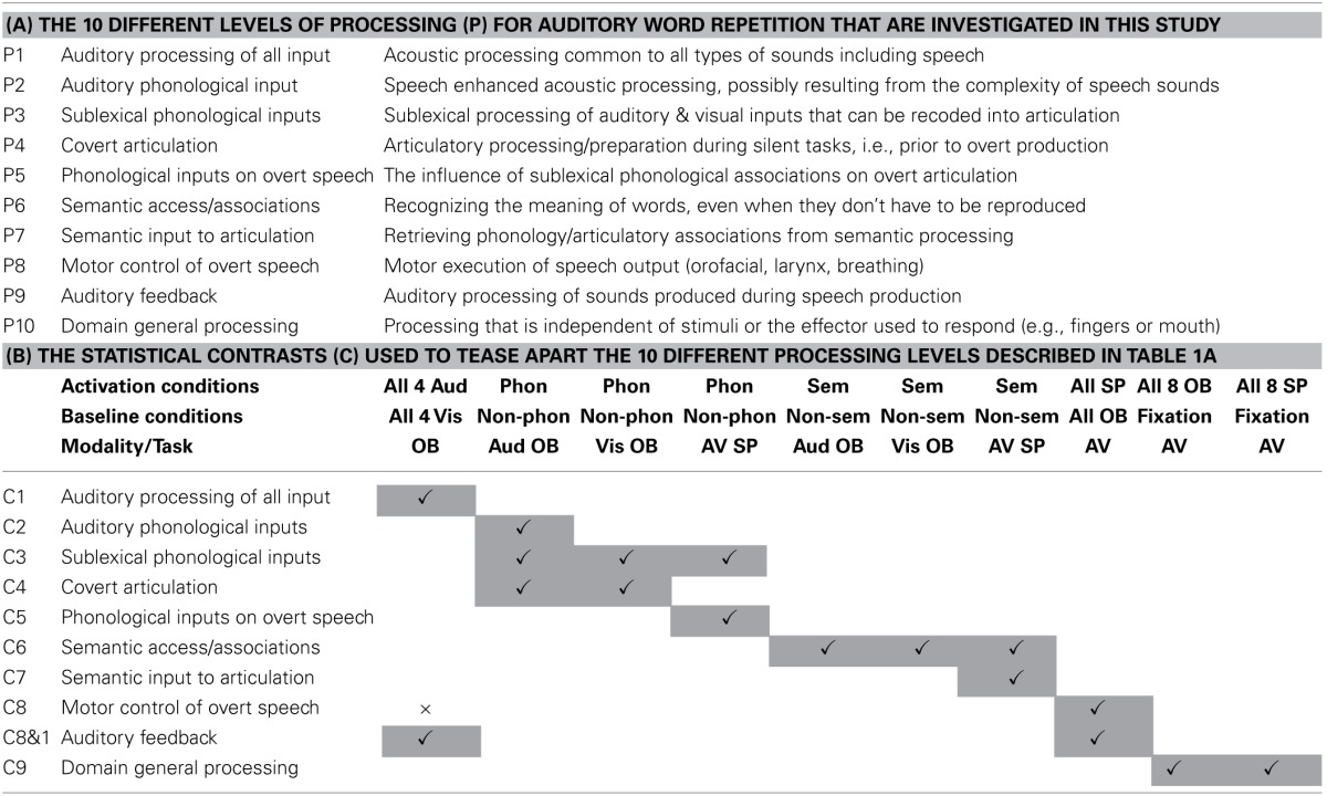 graphic file with name fnhum-08-00246-i0001.jpg