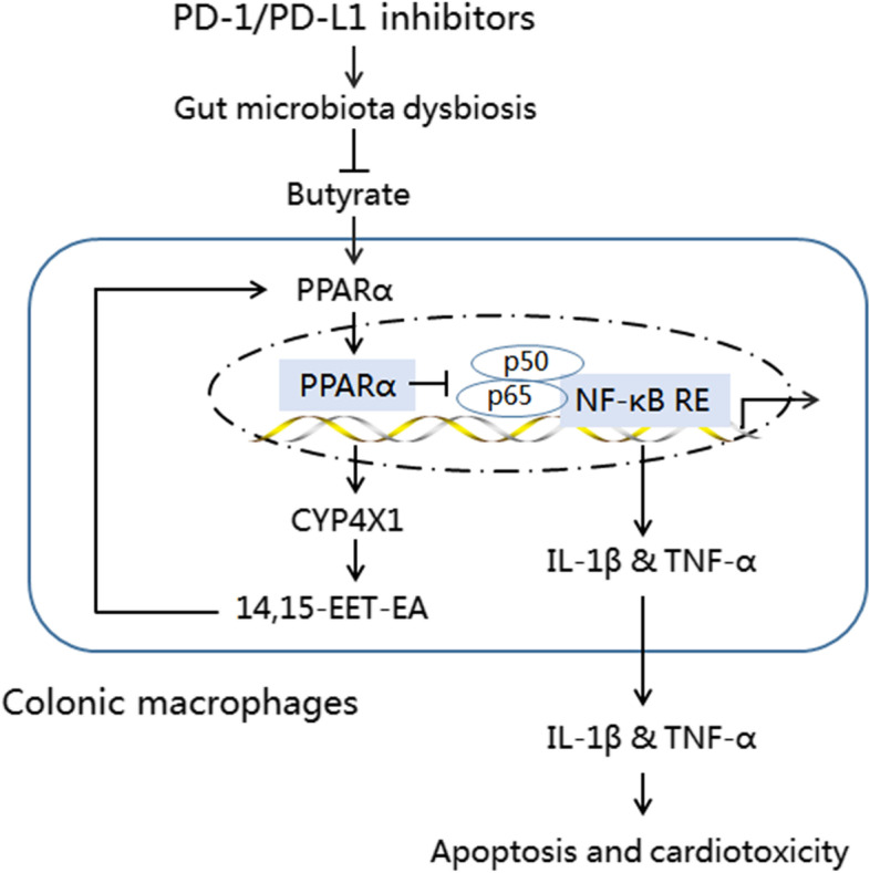 Fig. 10