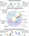 Fig. 2