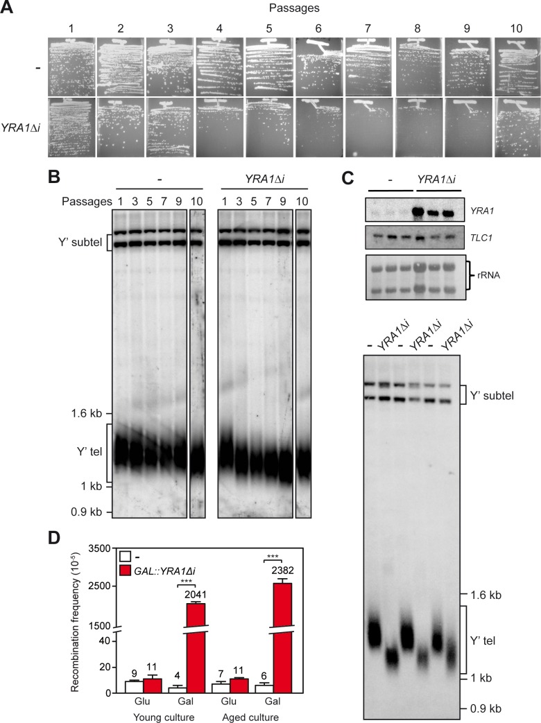 Fig 5