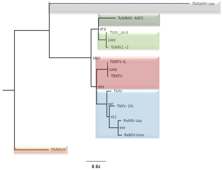 Fig 5