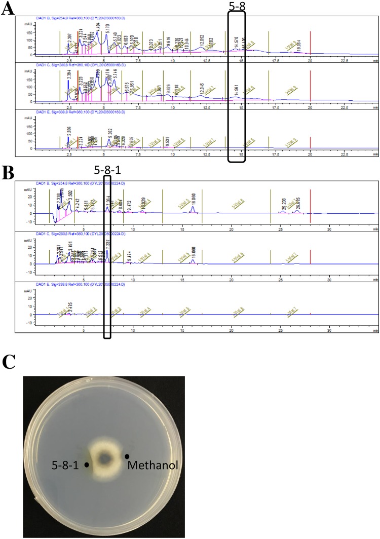 Fig 9