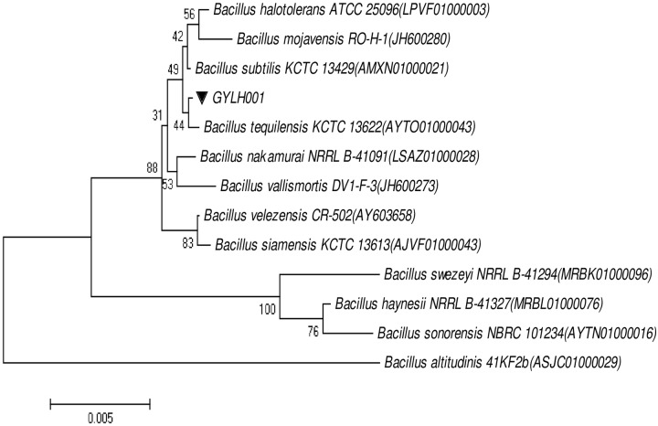 Fig 3