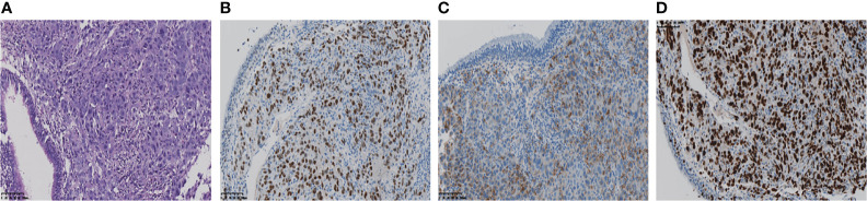 Figure 2