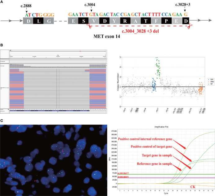 Figure 3