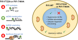 Graphical Abstract