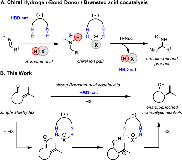 Scheme 1.