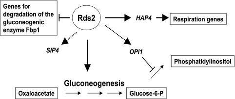 FIG. 7.