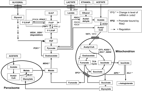 FIG. 6.