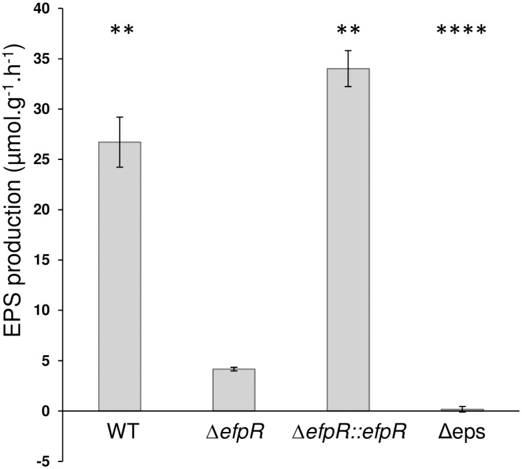 Fig 7