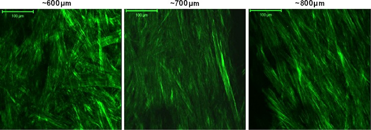 Fig. 4