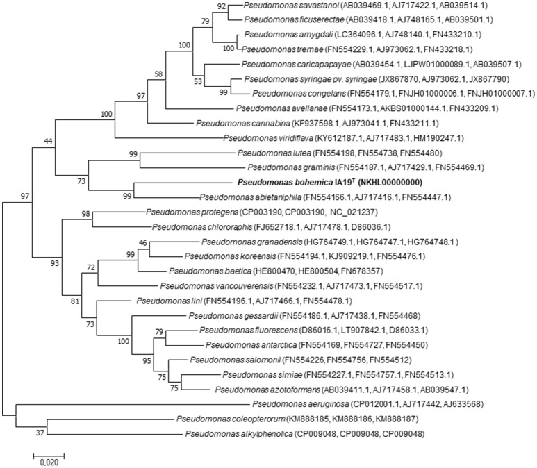 Figure 2