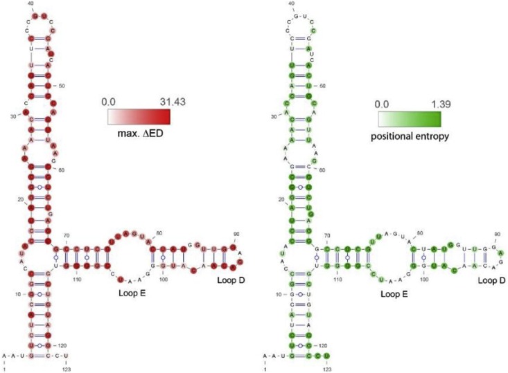 Fig. 2