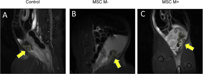 Fig. 3