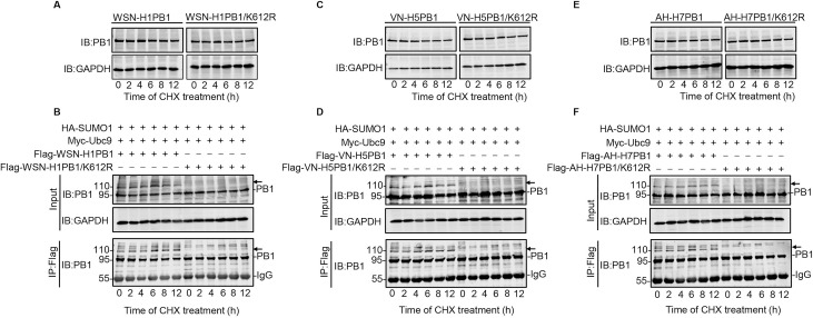 Fig 4