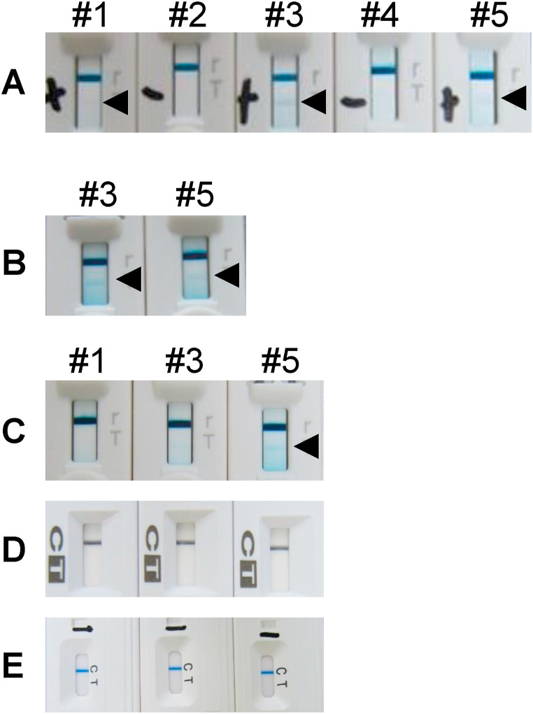 Fig. 1