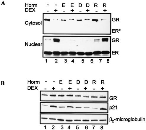 FIG. 5.