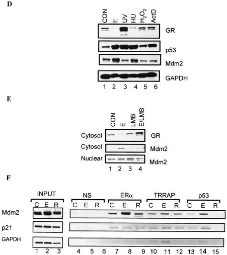 FIG. 7.