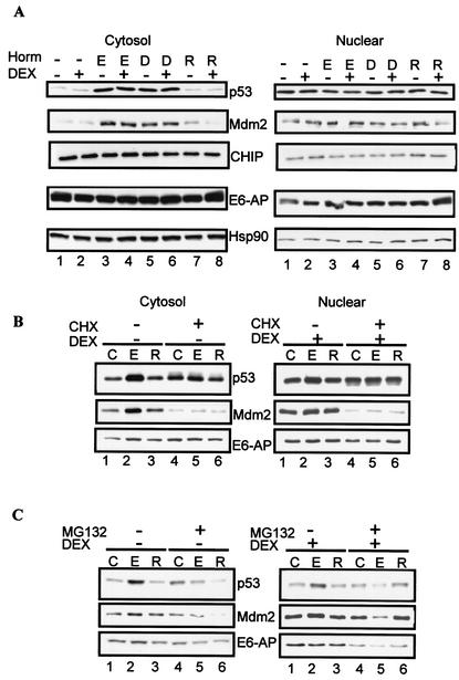 FIG. 7.