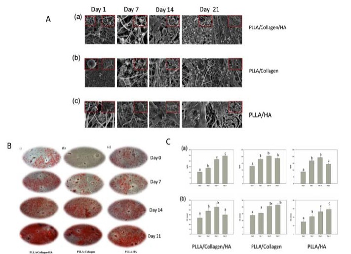 Fig. (1)