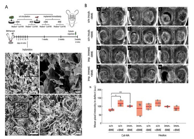 Fig. (3)