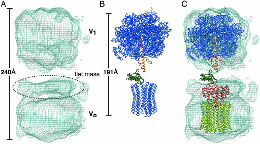 Fig. 3.