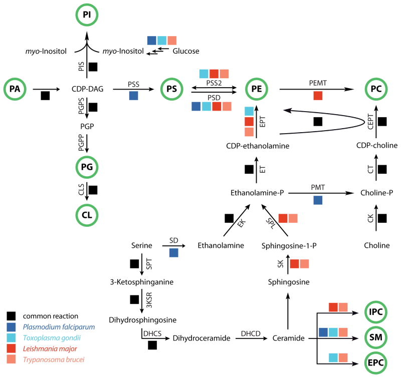 Figure 5