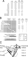 FIG 6