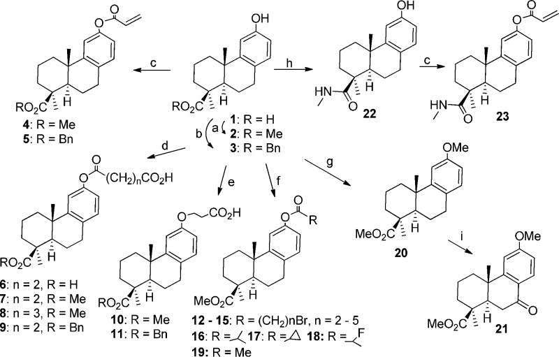 Scheme 1