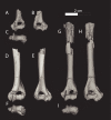 Fig 13