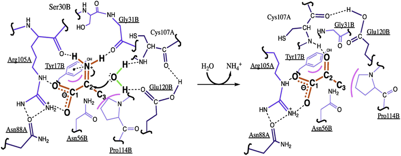 Figure 2 –