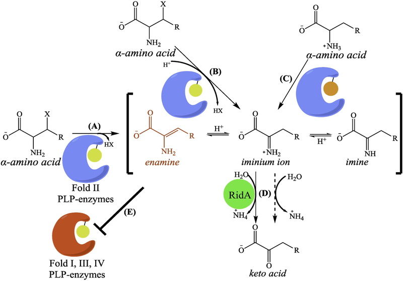 Figure 1,