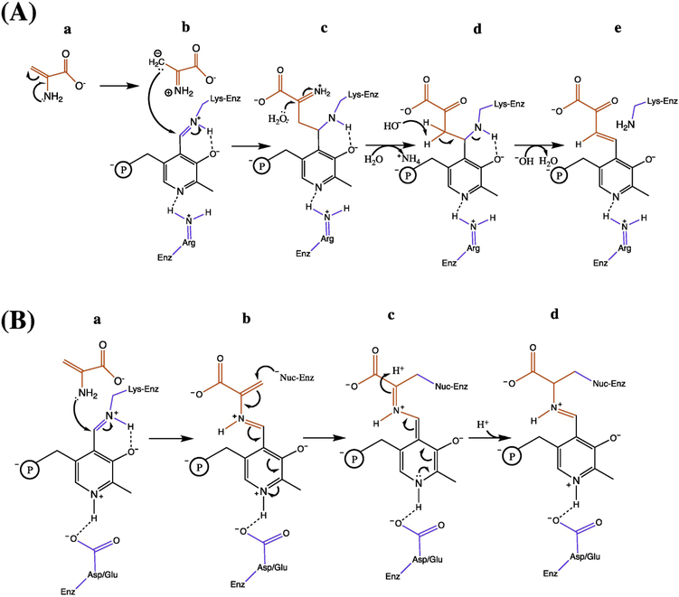 Figure 3 –