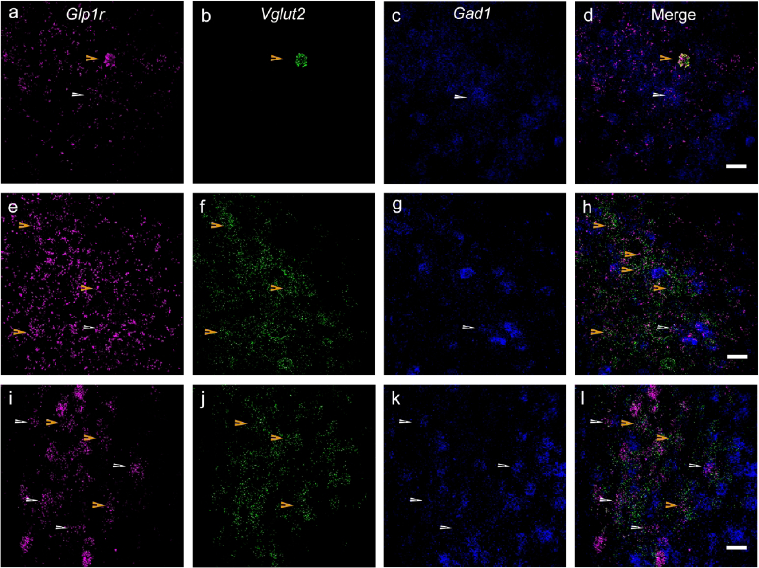 Figure 16: