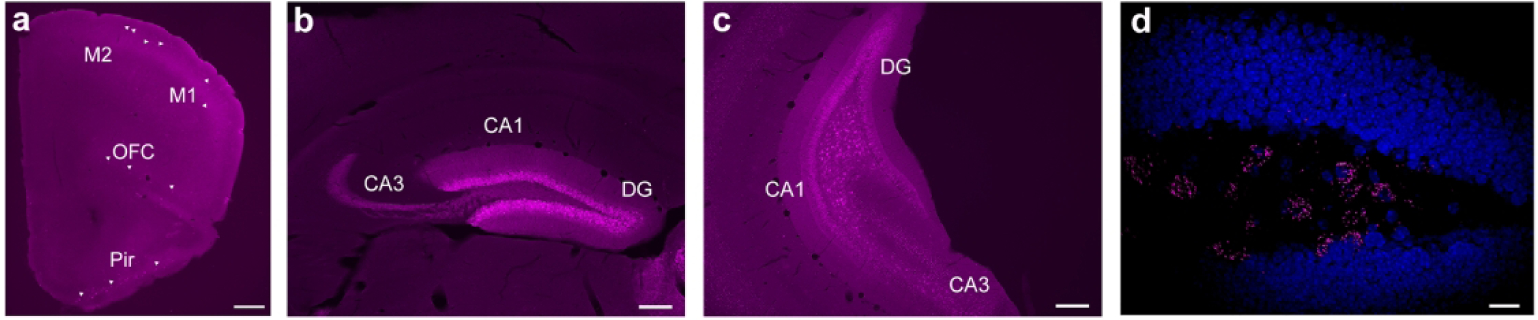 Figure 7: