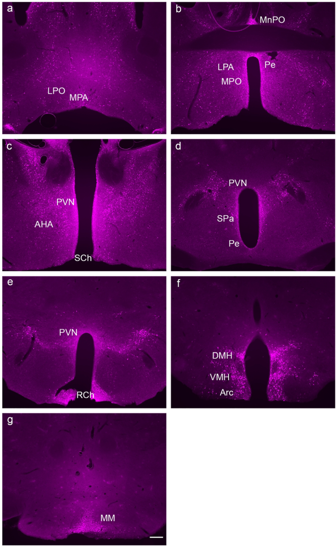 Figure 2: