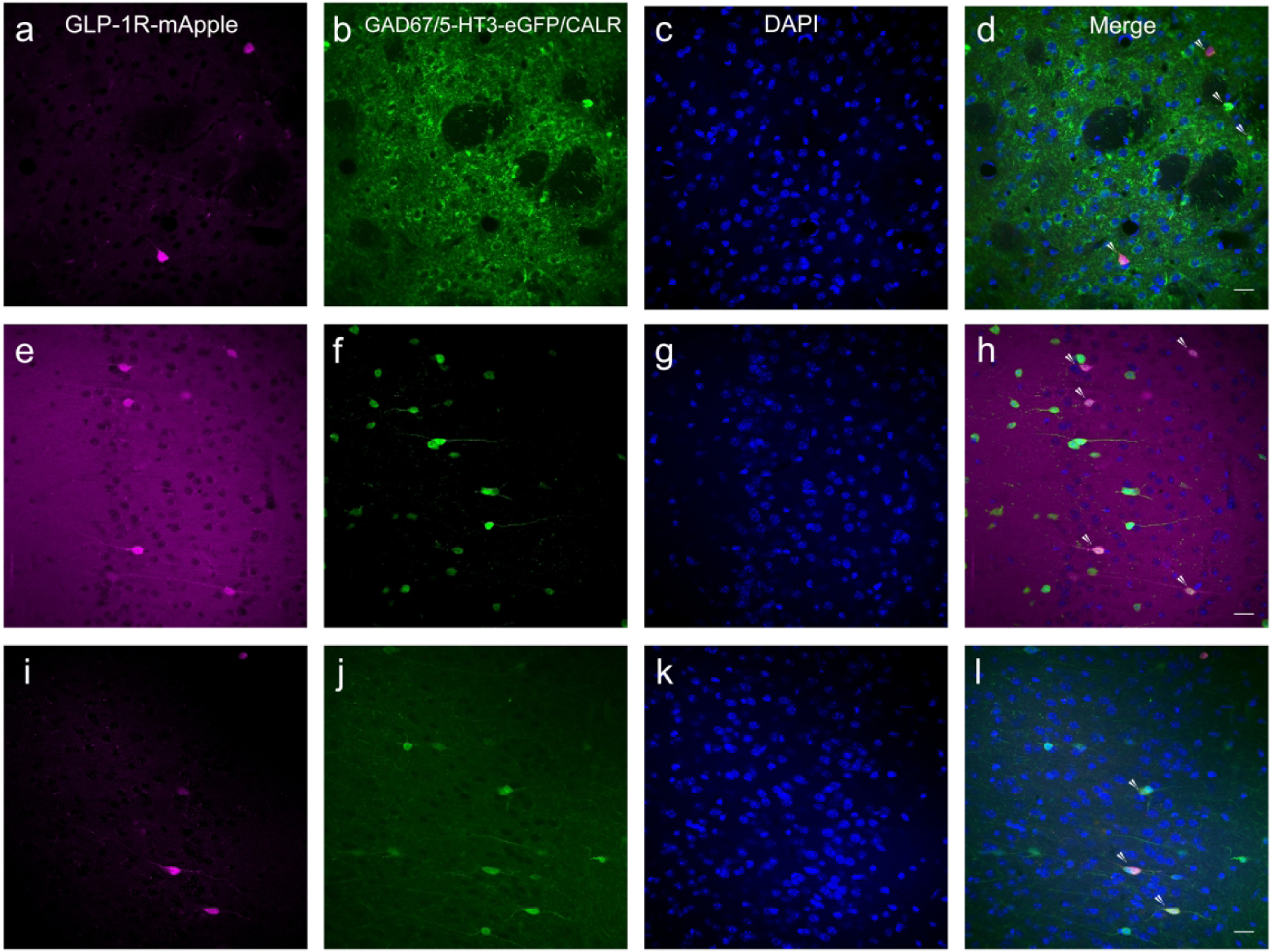 Figure 14: