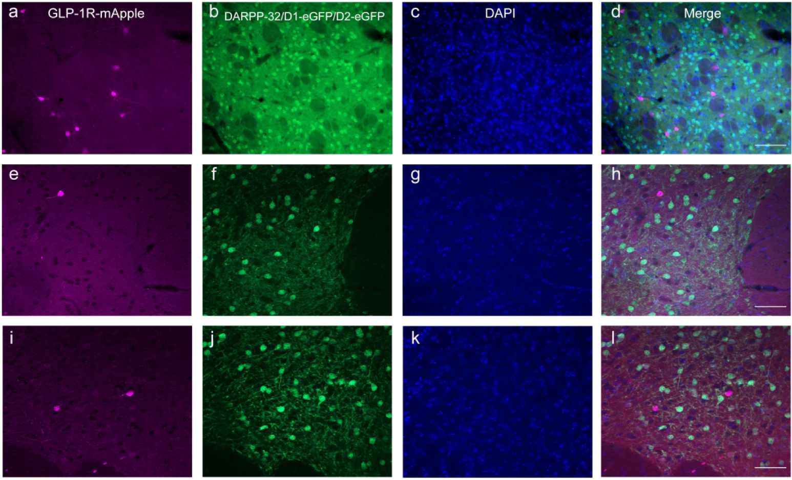 Figure 12: