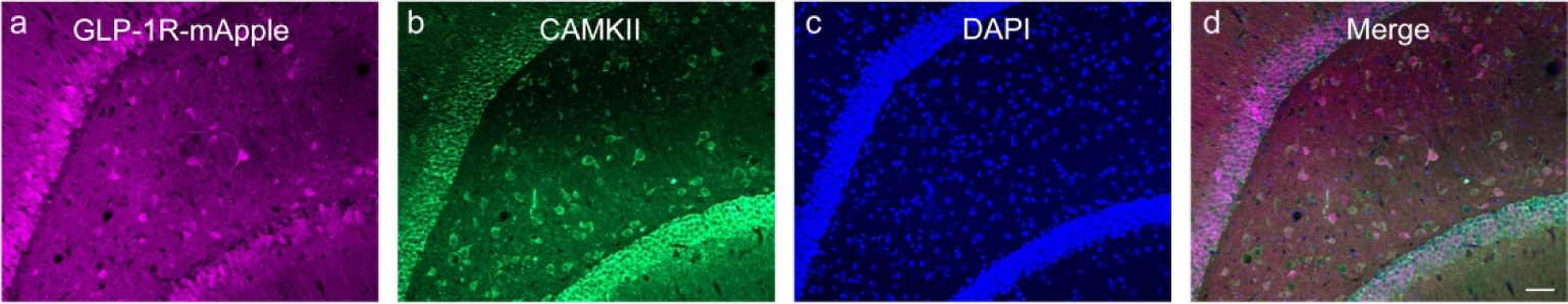 Figure 17: