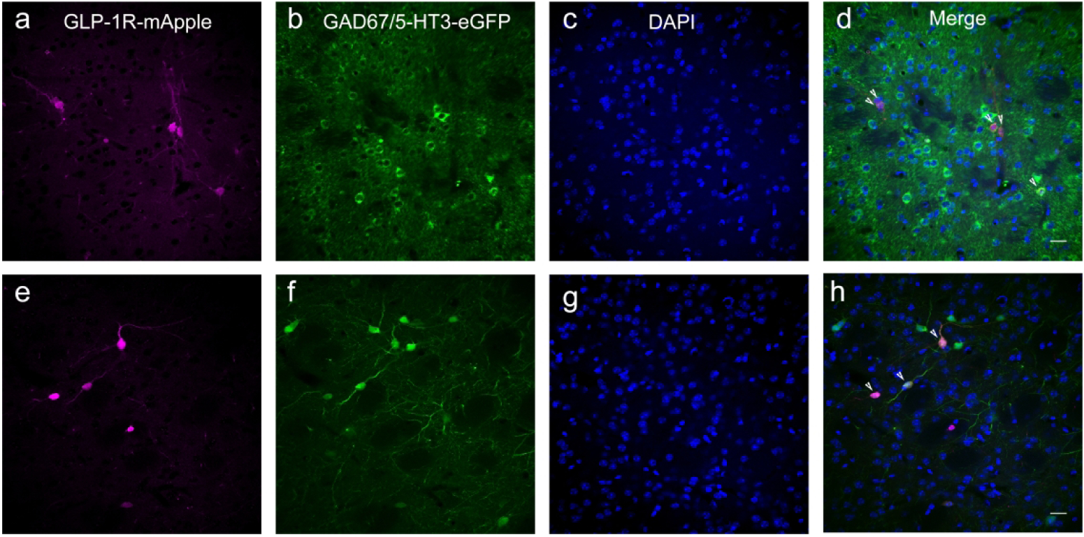 Figure 13: