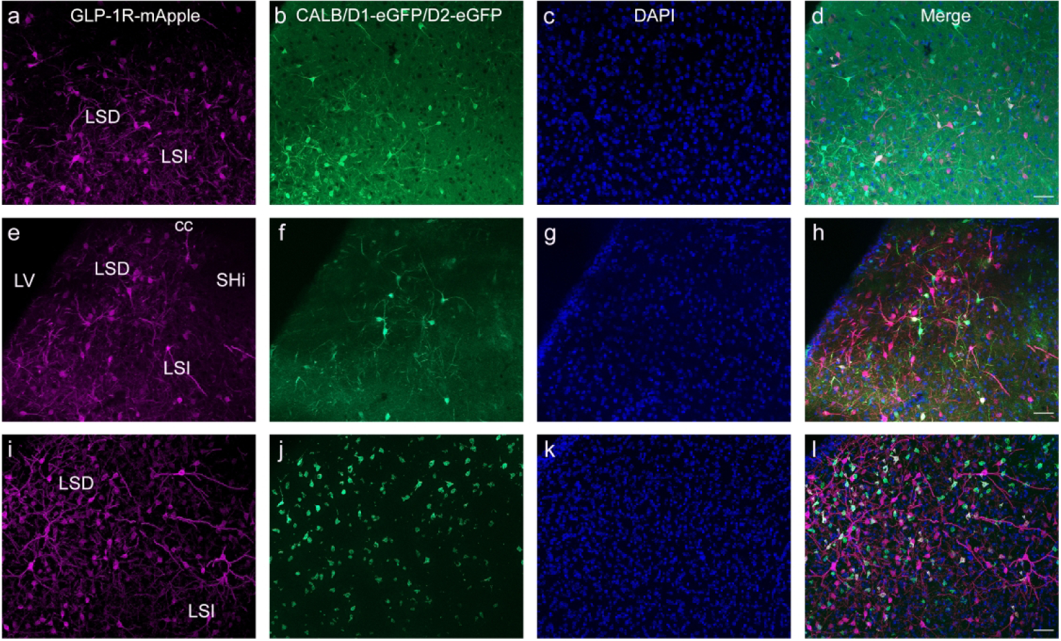 Figure 15: