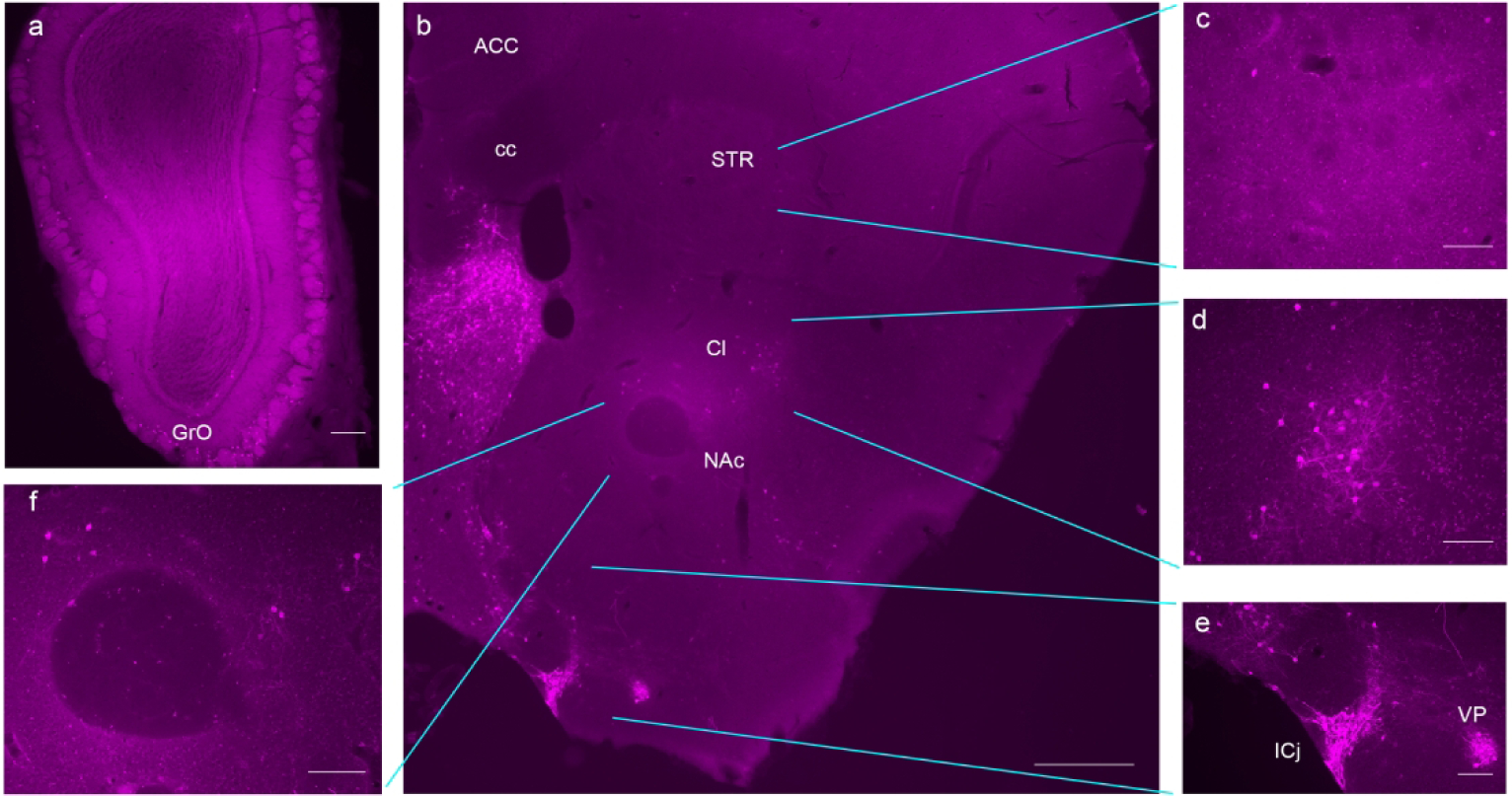 Figure 4: