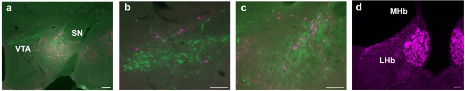 Figure 6: