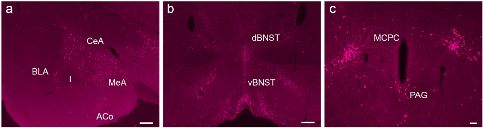 Figure 3: