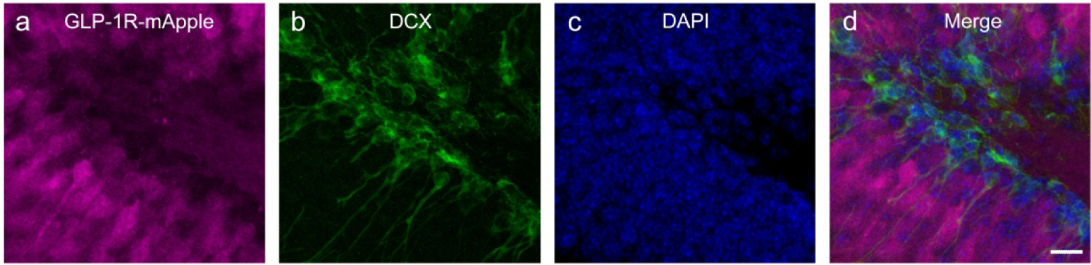 Figure 18: