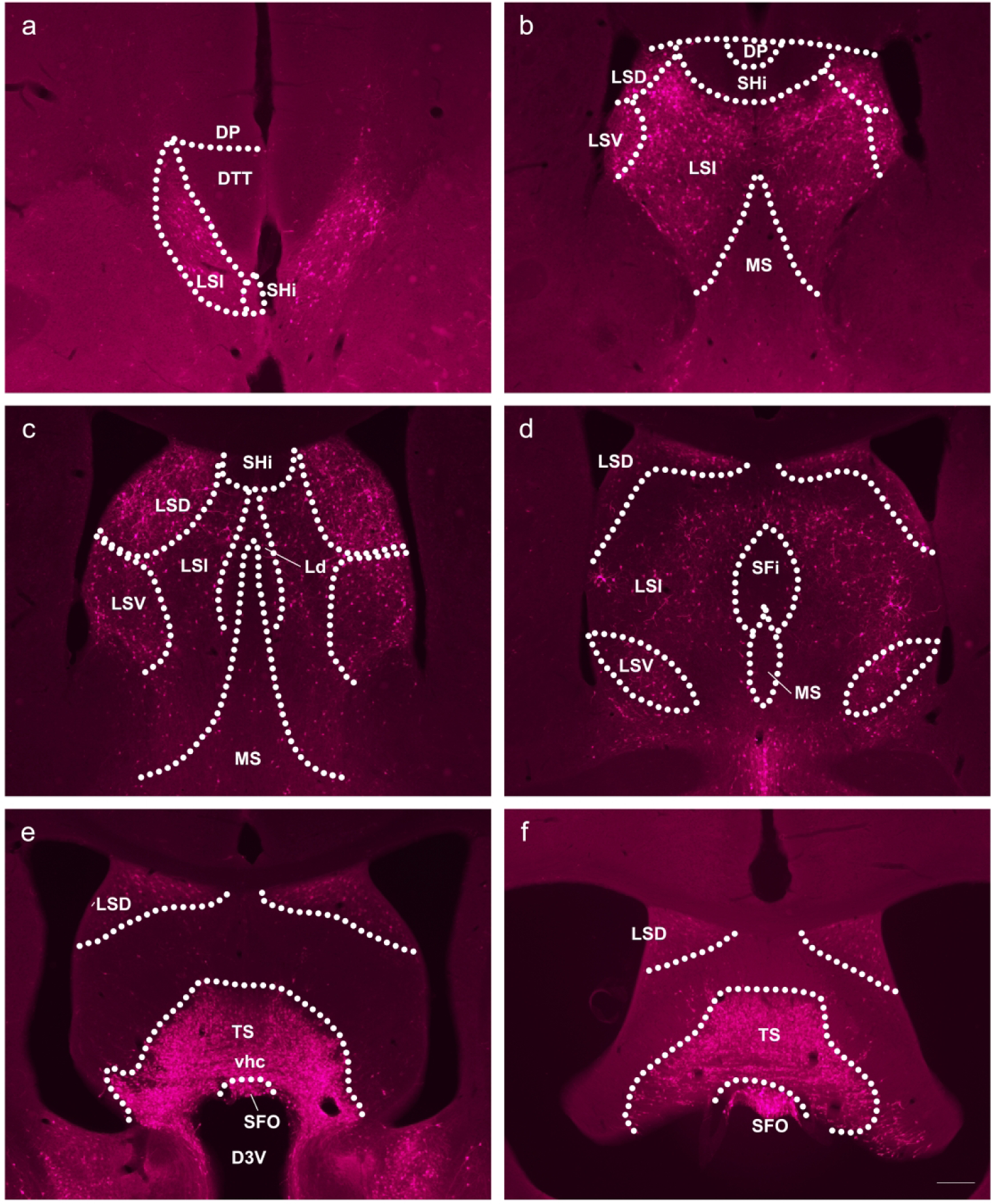 Figure 5: