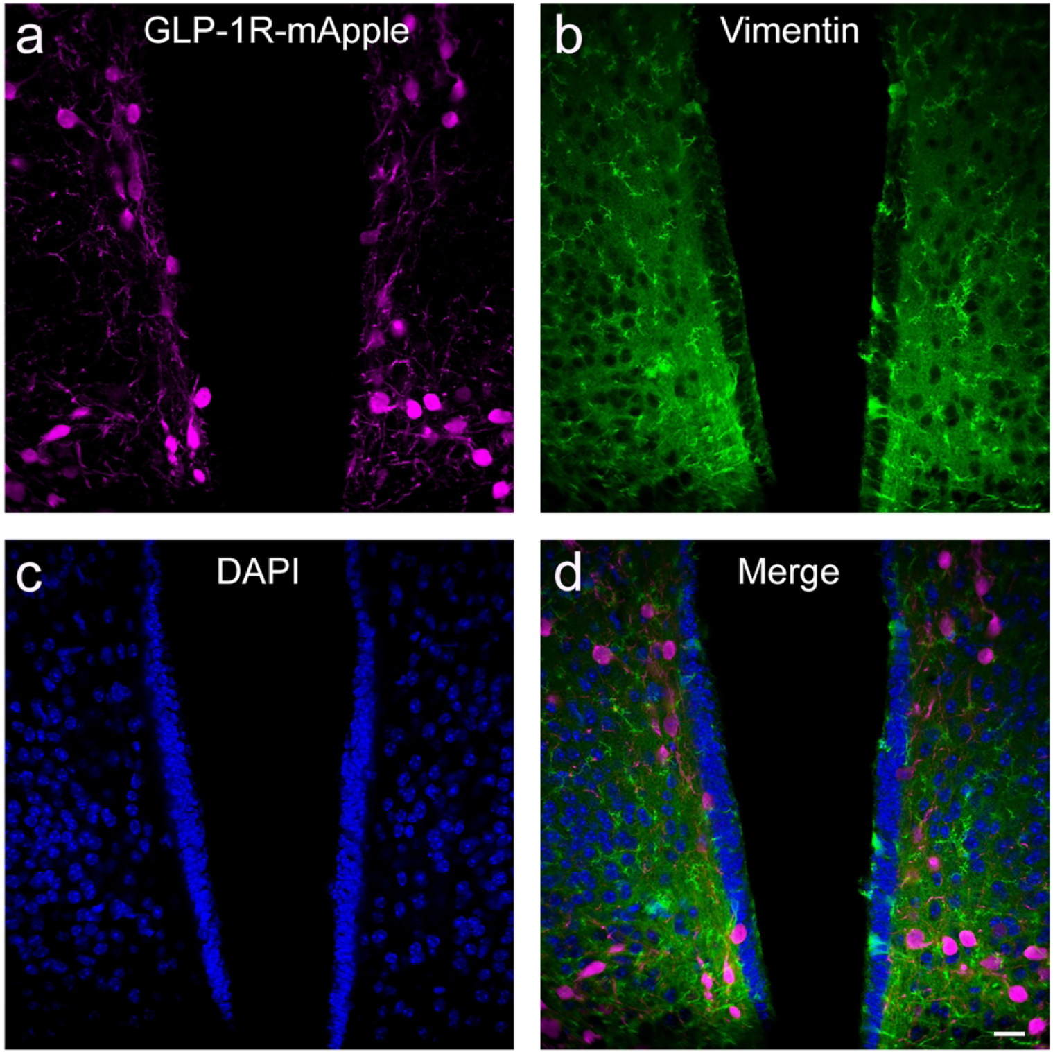 Figure 11: