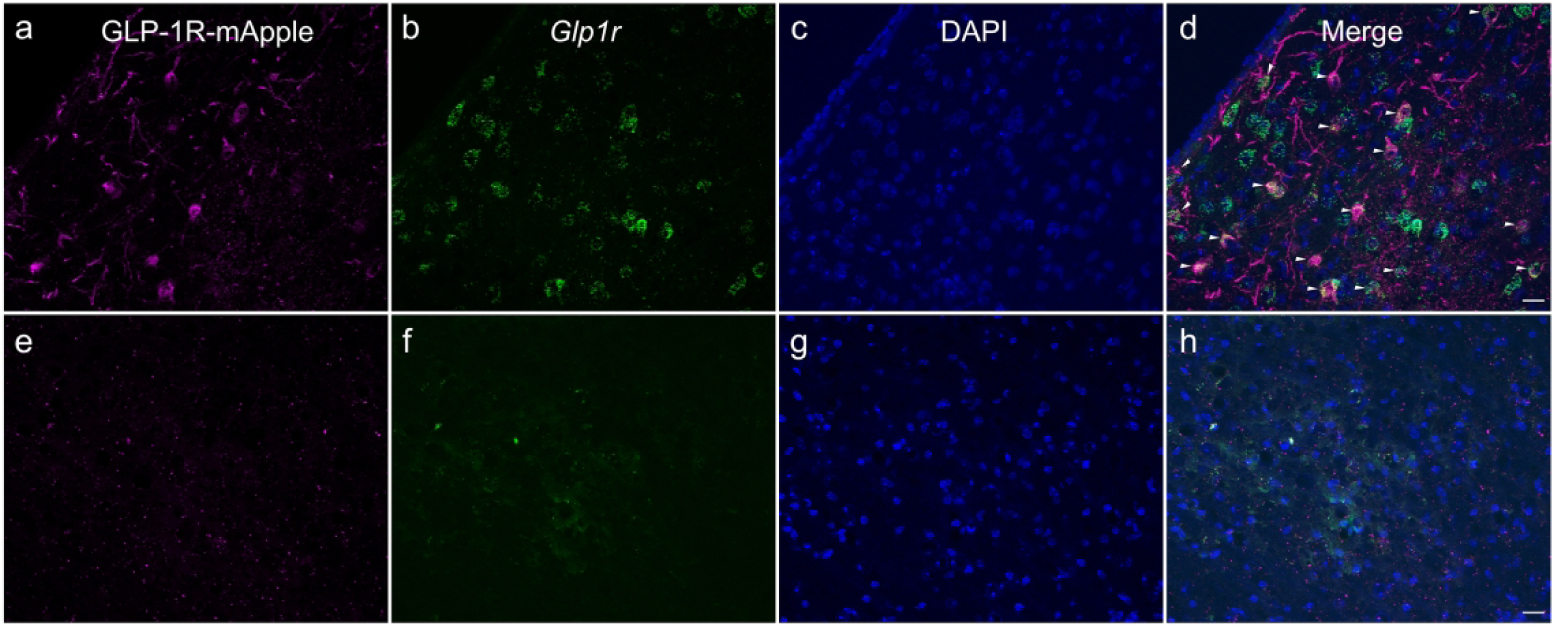 Figure 20: